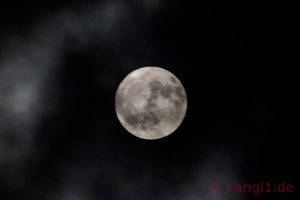 10786725232_IMG_3430