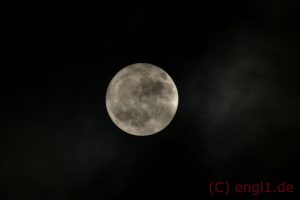 10787139392_IMG_3415