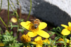 IMG_1213