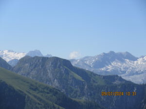 IMG_0428
